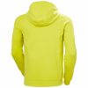 Helly Hansen - Logo Hoodie 2.0 Kapucnis Pulóver