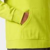 Helly Hansen - Logo Hoodie 2.0 Kapucnis Pulóver